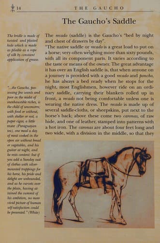 Portada de Gaucho, the