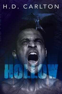 Portada de Hollow