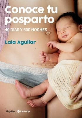 Portada de Conoce Tu Posparto