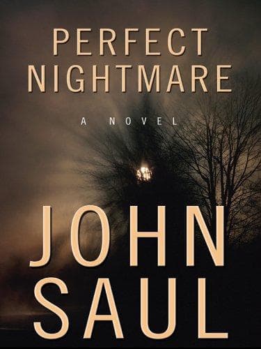 Portada de Perfect nightmare