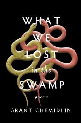 Portada de What We Lost in the Swamp