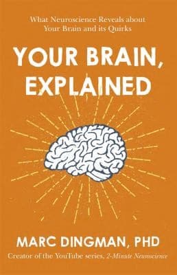 Portada de Your Brain, Explained
