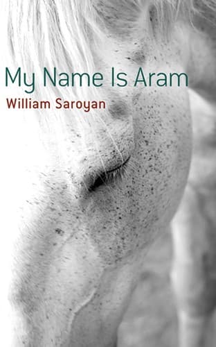 Portada de My name is Aram