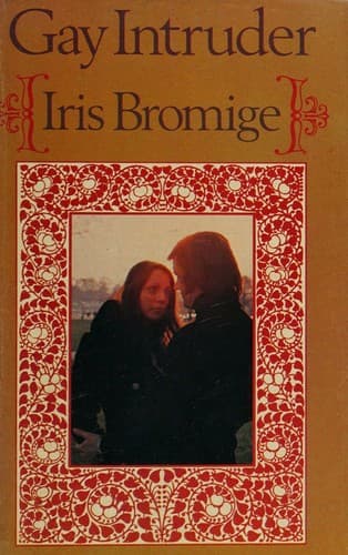 Portada de Gay Intruder