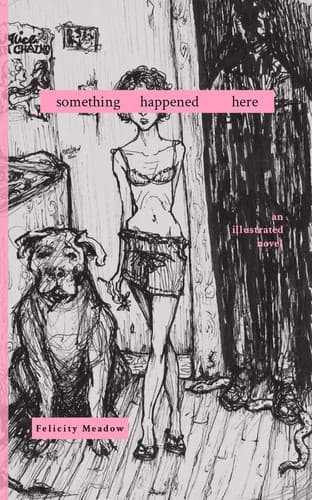 Portada de Something Happened Here