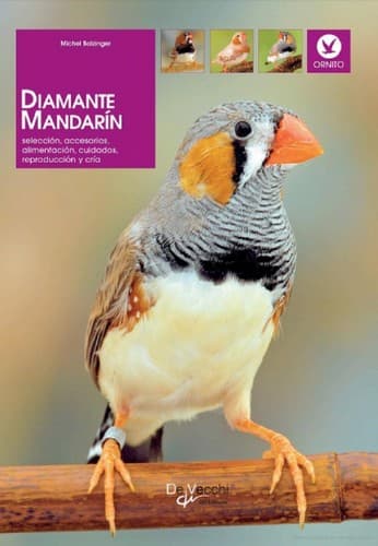 Portada de Diamante Mandarín