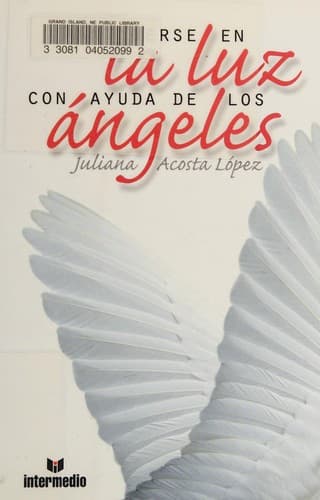 Portada de Cómo mantenerse en la luz con la ayuda de los ángeles