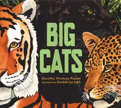 Portada de Big Cats
