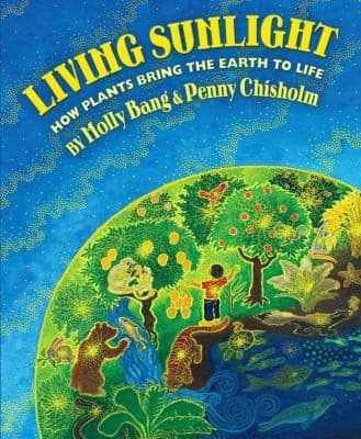 Portada de Living sunlight