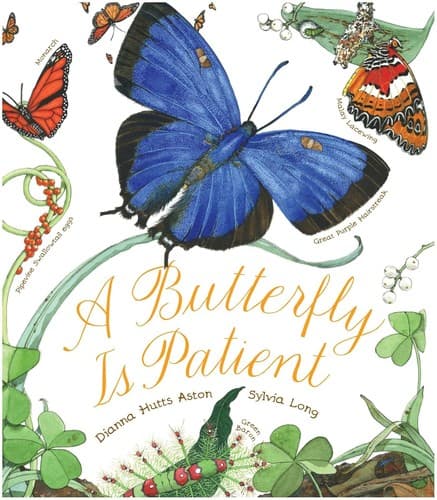 Portada de A butterfly is patient