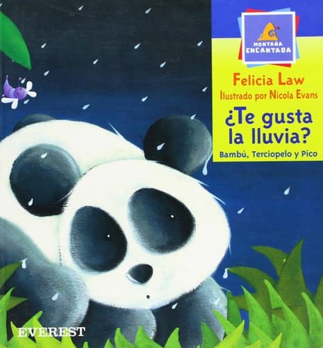 Portada de Te Gusta La Lluvia?/Rainy Day