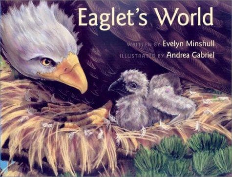 Portada de Eaglet's world