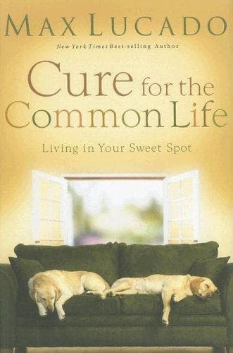 Portada de Cure for the Common Life