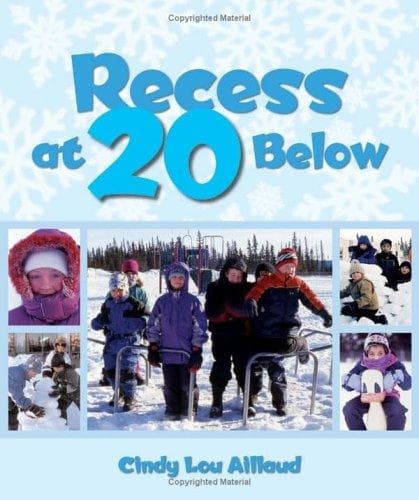 Portada de Recess at 20 Below