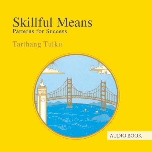 Portada de Skillful Means