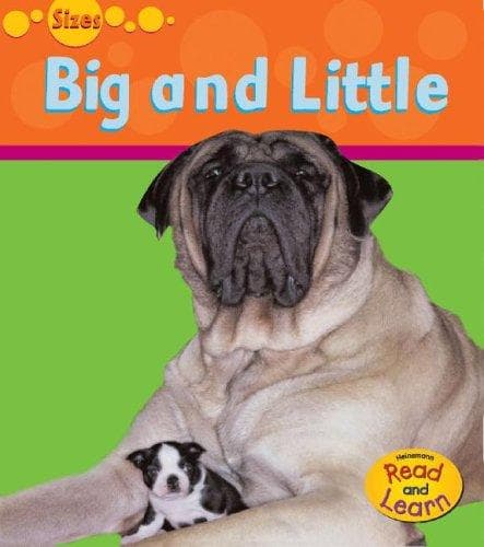 Portada de Big And Small