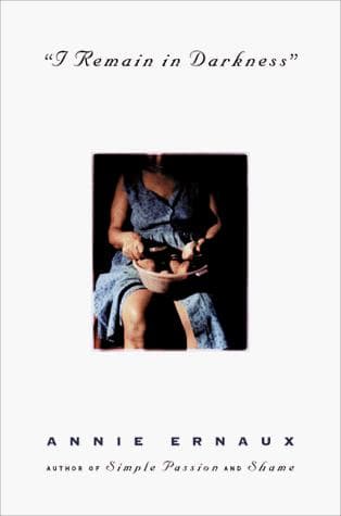 Portada de I remain in darkness