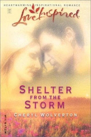Portada de Shelter From The Storm