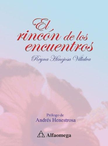 Portada de El rincon de los encuentros