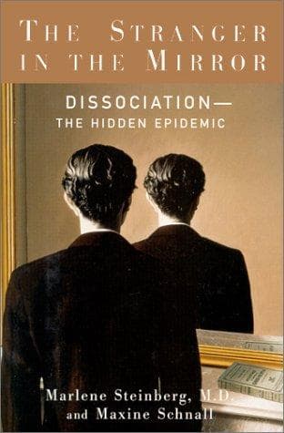 Portada de The stranger in the mirror