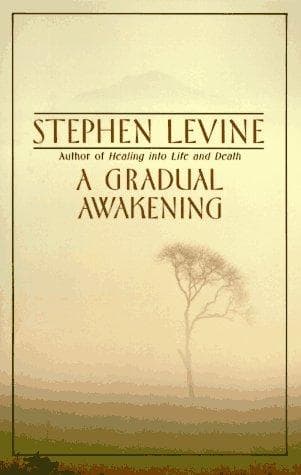Portada de A gradual awakening