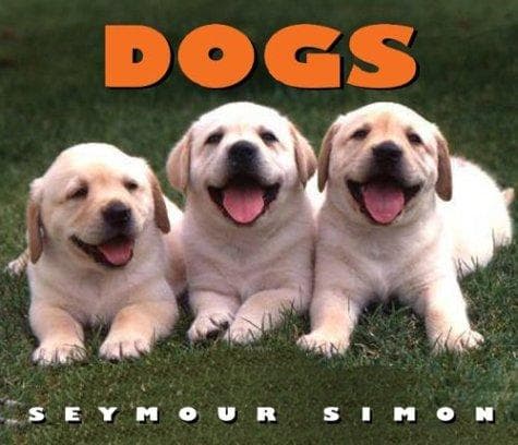 Portada de Dogs