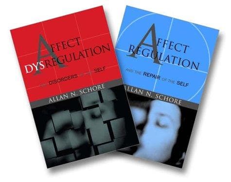Portada de Affect regulation & the repair of the self