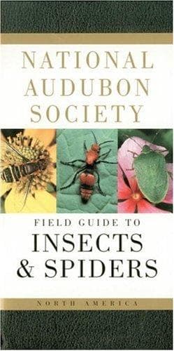 Portada de National Audubon Society Field Guide to North American Insects and Spiders (Audubon Society Field Guide)