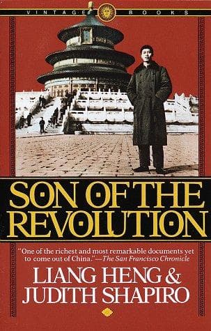 Portada de Son of the revolution