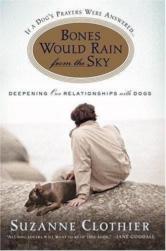 Portada de Bones Would Rain From the Sky