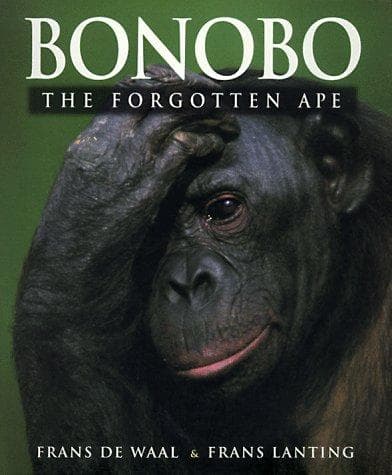 Portada de Bonobo