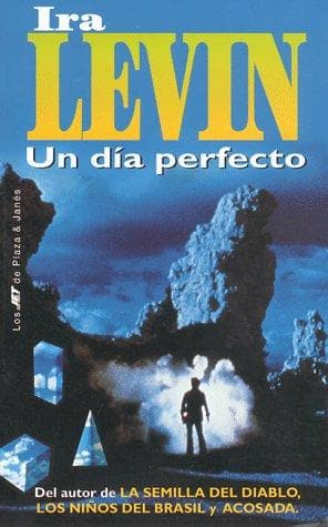Portada de Un dia perfecto/This pefect day