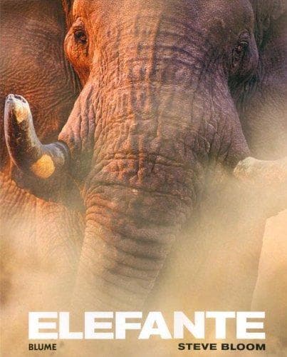 Portada de Elefante