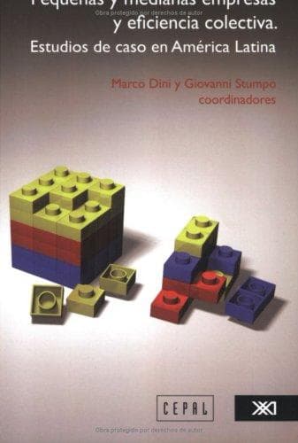 Portada de Pequeñas Y Medianas Empresas y eficiencia colectiva