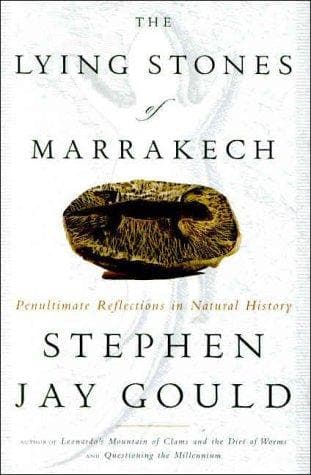 Portada de The lying stones of Marrakech