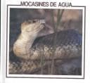Portada de Mocasines de agua
