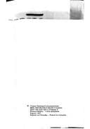 Portada de La primada de América en los días de la colonia