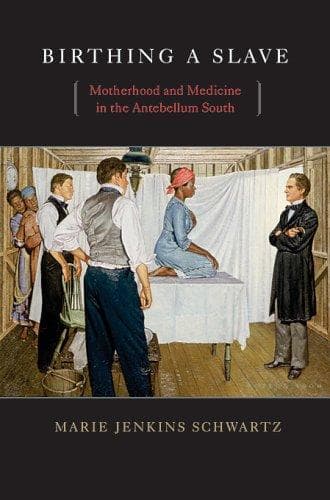 Portada de Birthing a slave