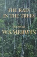 Portada de The rain in the trees
