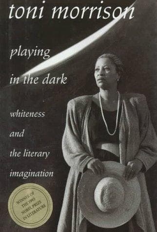 Portada de Playing in the dark