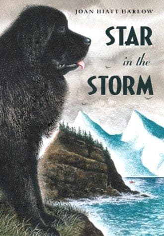 Portada de Star in the storm