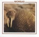 Portada de Morsas