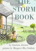 Portada de Storm Book