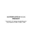 Portada de Alternativas a la prisión