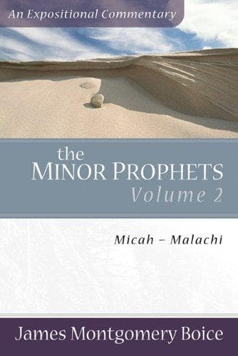 Portada de Minor Prophets, The, vol. 2