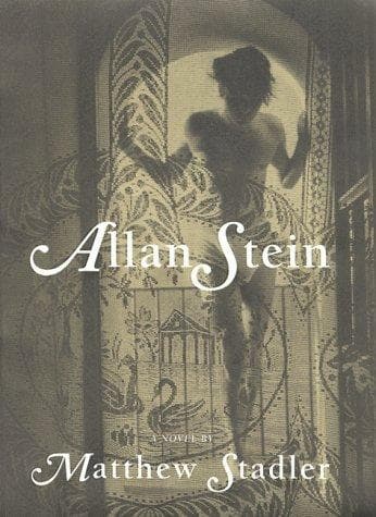 Portada de Allan Stein