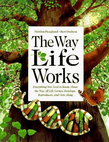 Portada de The way life works