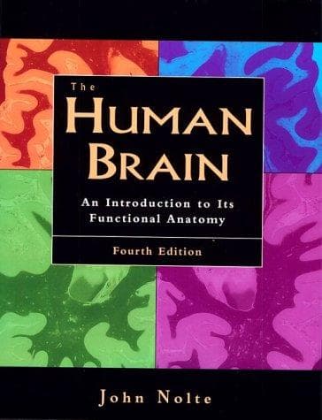 Portada de The human brain