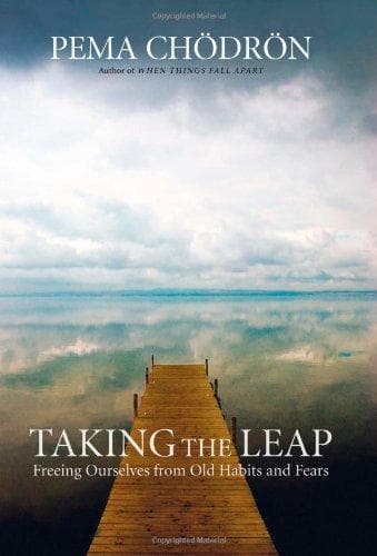 Portada de Taking the leap
