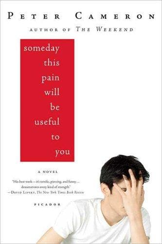 Portada de Someday this pain will be useful to you